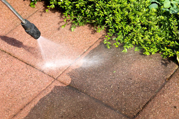 Trusted Tara Hills, CA Pressure Washing Experts
